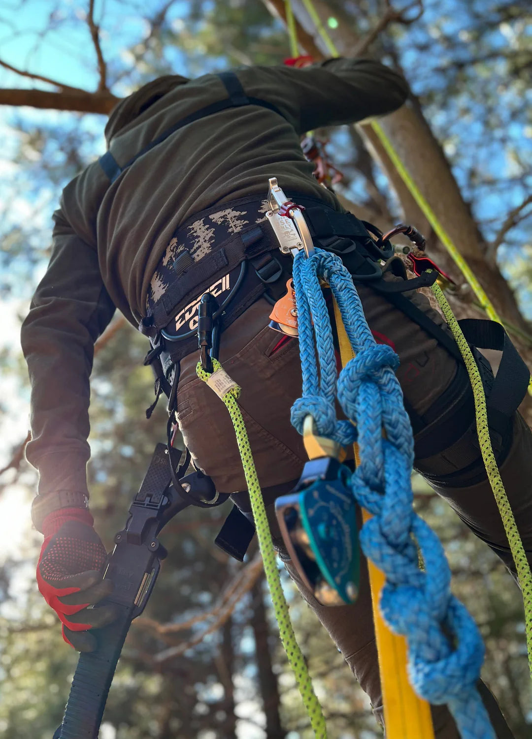 Rock Exotica Transporter XL - C5MXL