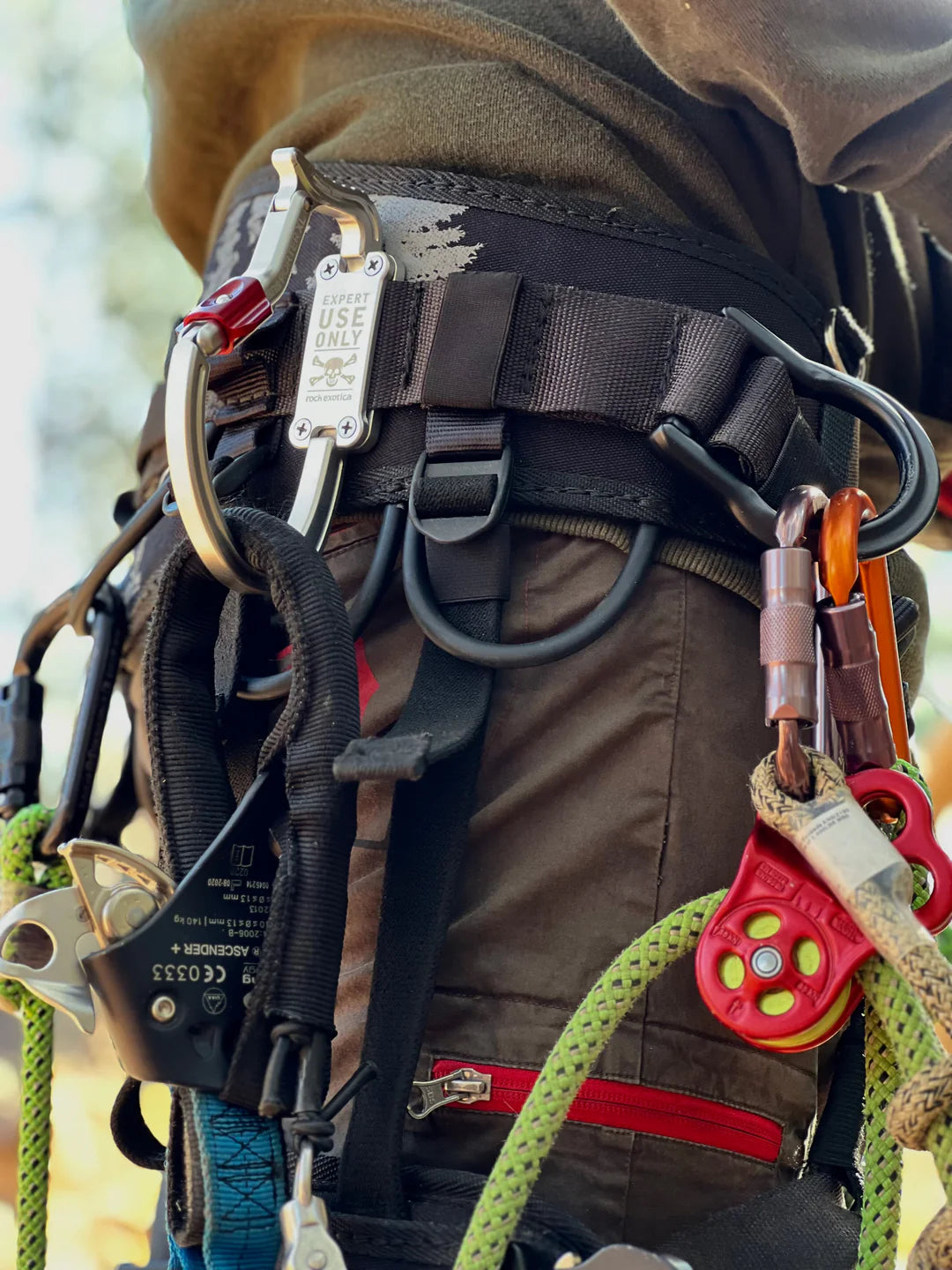 Rock Exotica Transporter XL - C5MXL