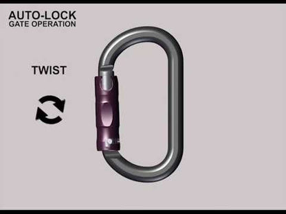 Rock Exotica rockD Stainless Auto-Lock Carabiner - C2S-A